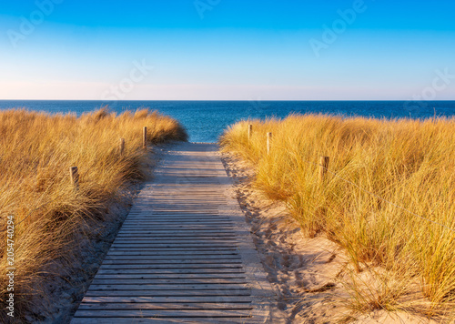 Schöner Wintertag an der Ostsee, Weg durch die Dünen zum Meer unter blauem Himmel, Rerik, Mecklenburg-Vorpommern, Deutschland 