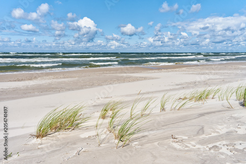 Empty sandy beach on the Baltic Sea with dune grass and rolling waves under dramatic clouds on a windy summer day. Scenic coastal landscape with untouched shoreline.