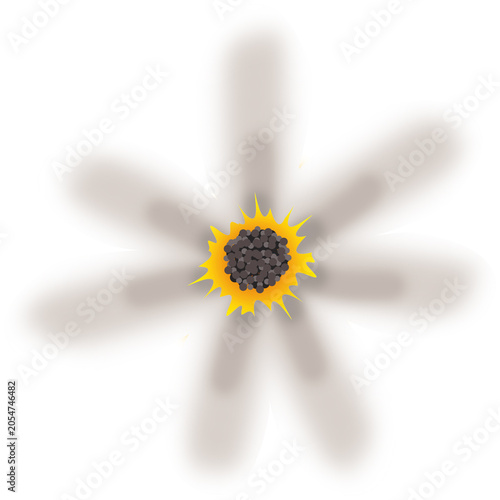 Single White Daisy Flower Isolated Botanical Illustration