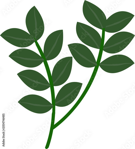 Green Leaf Branch Botanical Foliage Isolated Illustration