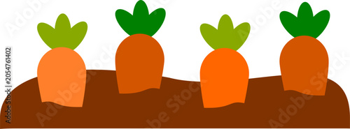 Tableau sur toile Some carrots are still planted