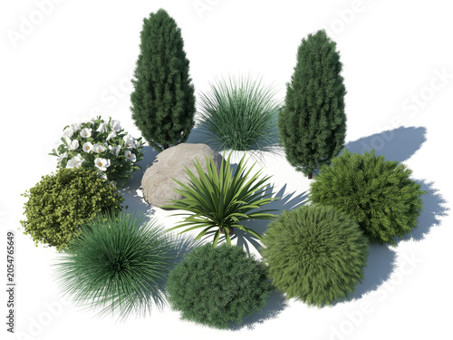 Collection of Decorative Garden Plants and Ornamental Shrubs Arranged with Natural Stone for Landscaping Design