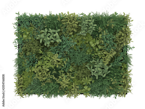 Vertical Green Garden Wall Panel With Lush Foliage and Ornamental Plants for Interior Office Decoration and Sustainable Living Spaces