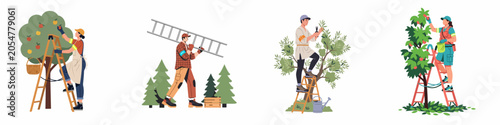 Set of diverse people working in gardens and orchards, picking fruits and pruning trees using ladders, vector illustrations on white background.