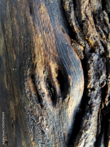 Close up of old weathered dark brown wood texture with cracks and holes   