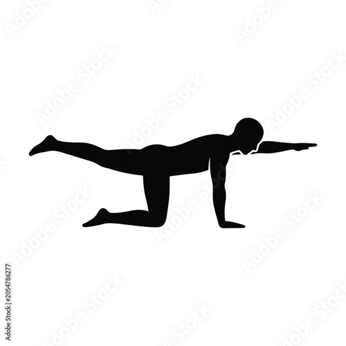 Konstfotografi Bird dog exercise silhouette, person in quadruped position extending opposite ar