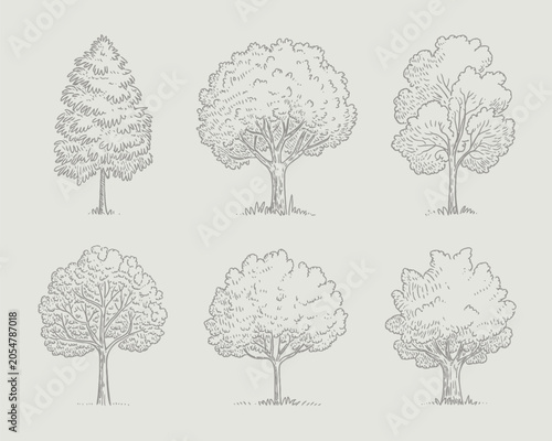 Tree Line Drawings on Beige Background