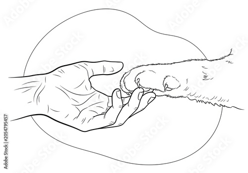 Human Hand Gently Reaching Out To Shake Or Hold A Dog Paw Symbolizing Connection And Trust Between Pet And Their Owner