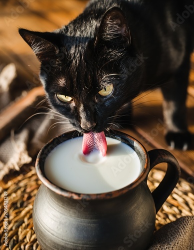 A black cat drinks milk from a clay jug. Natural lighting and rustic elements create a warm, wholesome feel.
