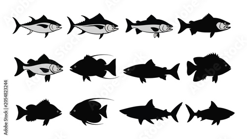 various fish silhouettes on white background silhouette marine life sea creature aquatic animal black vector graphic illustration wildlife nature ocean