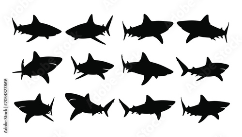 Φωτογραφία shark silhouettes on white background silhouette marine animal ocean wildlife pr