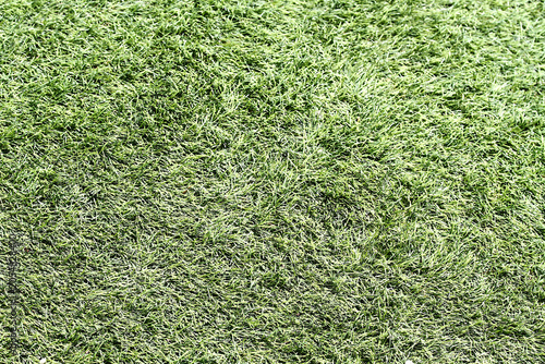 Foto Hierba césped verde Grass green