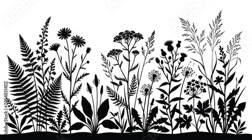Black silhouette of wild meadow flowers and field grass isolated on transparent background vector illustration artistic floral element.