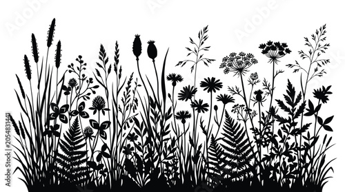 Set of wild meadow flowers and grass silhouettes isolated on transparent background detailed botanical design elements for art project.