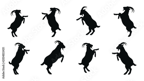 Fotografie eight goat silhouettes in various poses on white background silhouette animal wi