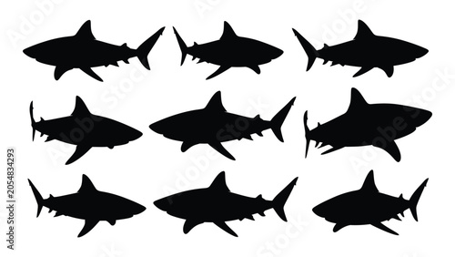 Quadro em tela shark silhouettes on white background silhouette marine animal ocean wildlife se