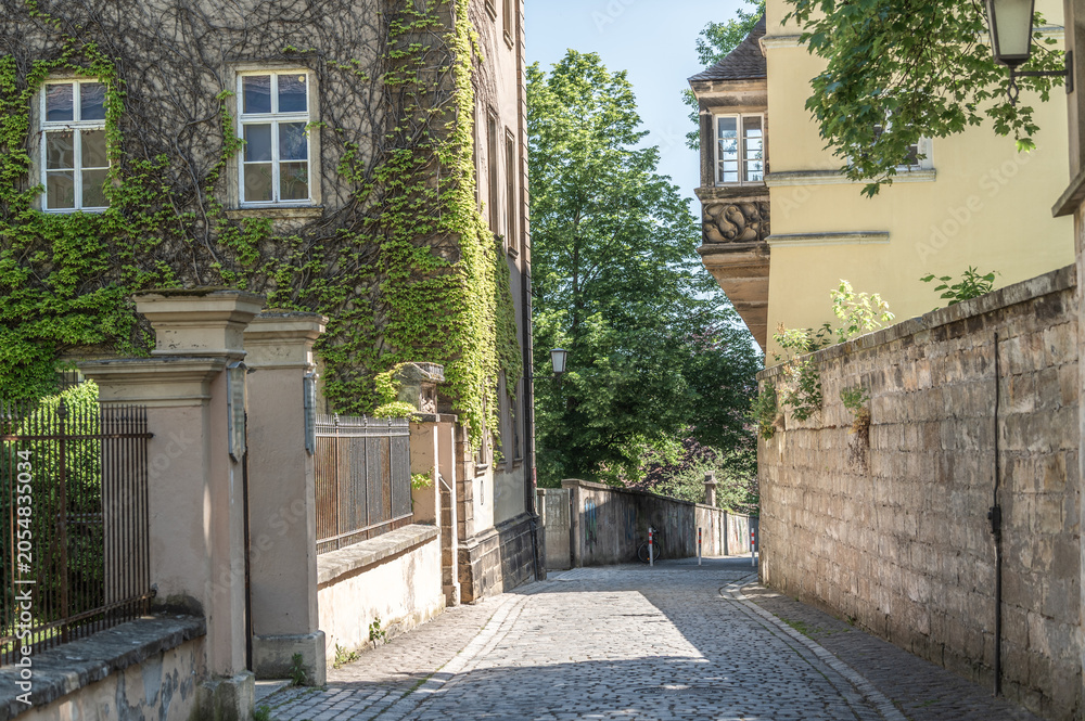 Fototapeta premium Absteigende Straße mit Pflastersteinen mit efeubewachsenem Gebäude Aufseesianum mit Sprossenfenstern und Kunstschmiedezaun und Gebäude mit Veranda mit Steinrelief in Bamberg.
