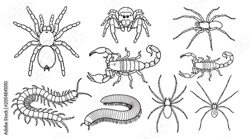 Fotografie Minimalist arachnid and insect line art set, 9 spider and scorpion icons, black