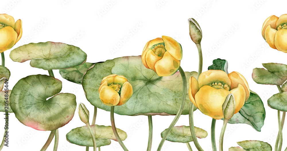 Ταπετσαρία Seamless horizontal border or banner with watercolor yellow water lilies and green leaves