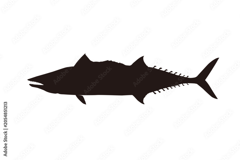 Obraz premium Japanese Spanish Mackerel Silhouette Illustration