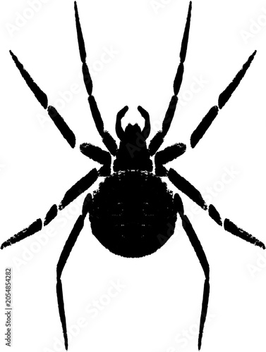 spider silhouette in traditional ink wash style