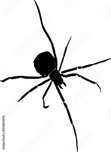spider silhouette in traditional ink wash style