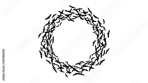Cuadro en lienzo Swarm of Bats Forming a Circle: A graphic illustration depicts a dark swarm of bats, their silhouettes forming a circular pattern against a white background, creating an eerie and mysterious visual