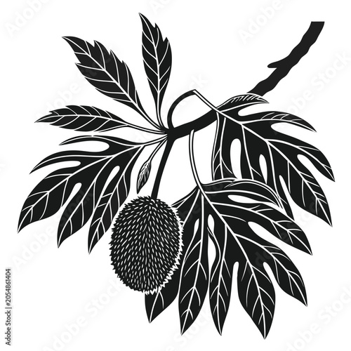 breadfruit silhouette on white background
