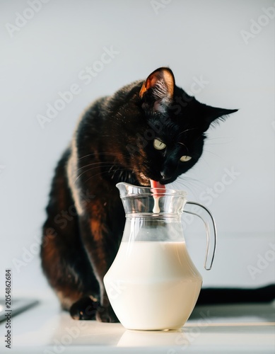 A black cat enjoys milk from a glass pitcher on a white surface, with soft light illuminating the scene.