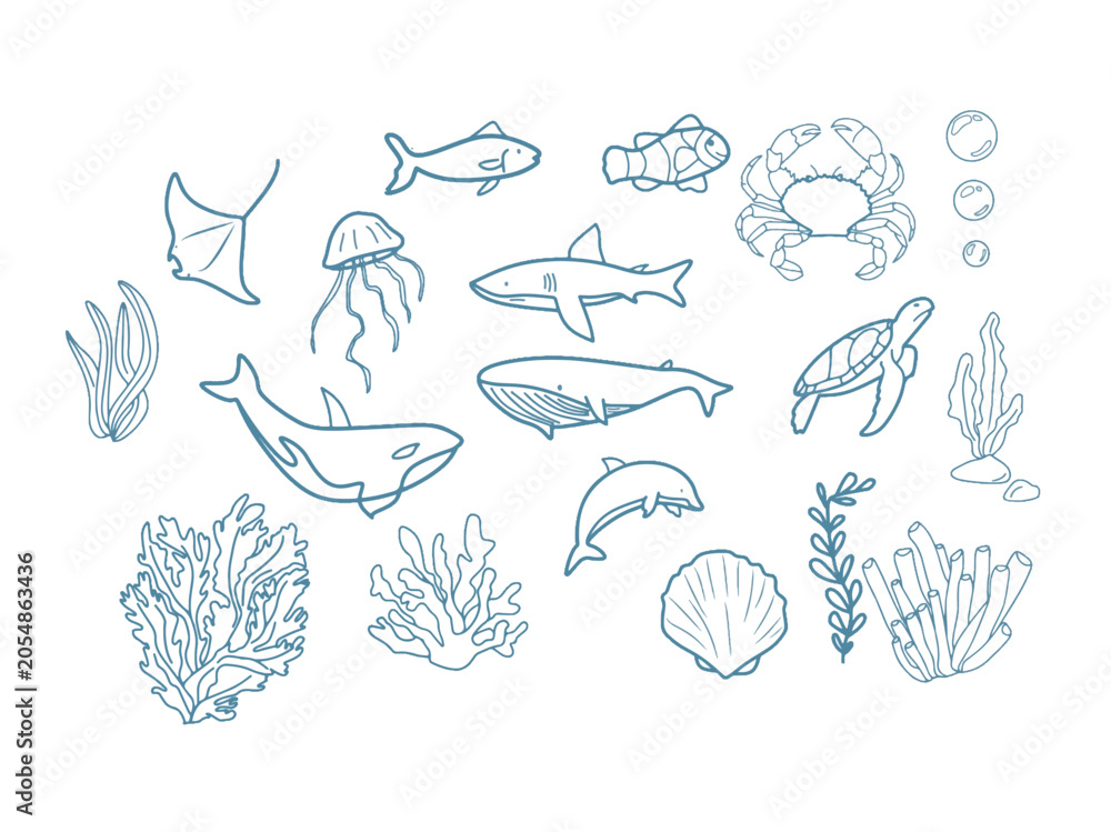 Fototapeta premium Ocean Life Doodle Art Set with Whale Shark Turtle Corals and Sea Plants Vector Line Art