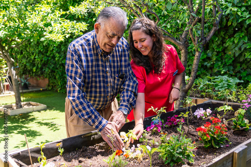 Canvastavla Elderly man and young female caregiver enjoying gardening in an outdoor raised bed