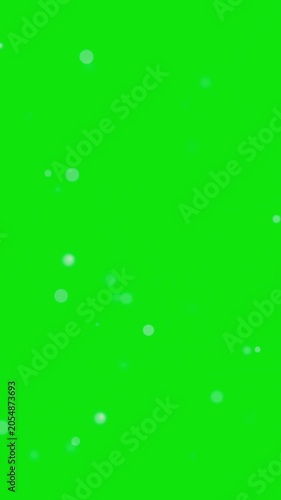 Floating White Bokeh Particles on Green Screen Background
