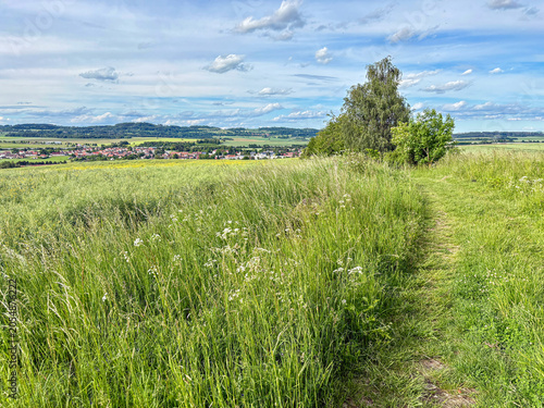 Fotografi Lush Green Hills and Open Sky View Landscape Scene