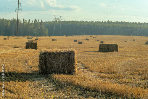 Bild auf Leinwand Golden hay field with large square bales in countryside during warm sunny evening