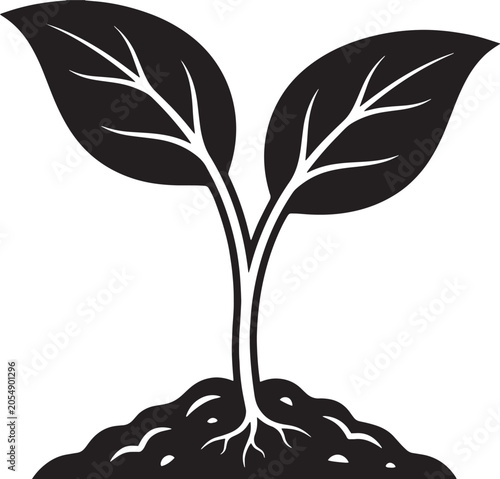 Young plant growing from soil with roots