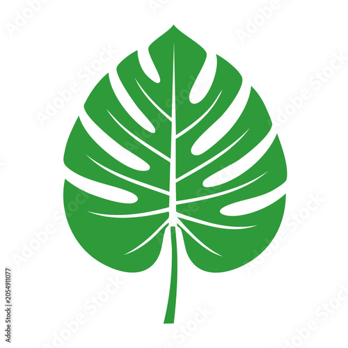 Monstera Leaf Flat Vector Illustration