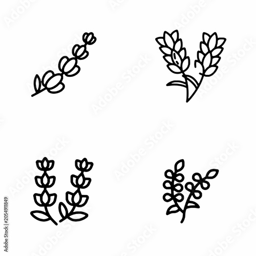Leaf branch line icon set vector. Minimalist outline botanical twigs, herbs, and organic floral contour elements