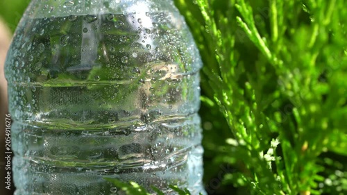 4K Plastic Water Bottle with Condensation in Nature. Ultra HD 4K close-up video of a transparent plastic water bottle covered with condensation droplets among vibrant green vegetation.