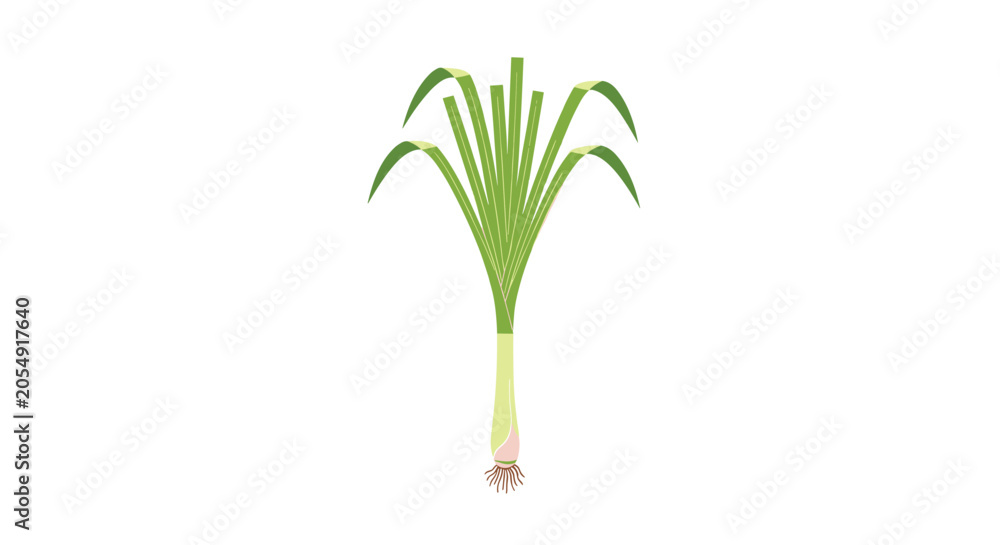 Fototapeta premium Fresh green spring onion leek scallion vegetable vector flat design illustration isolated on white background.