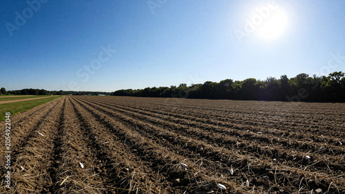 Plowed agricultural field under a bright blue sunny sky in rural countryside
