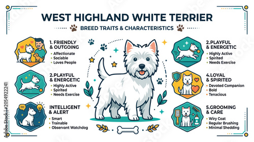 Cuadro en lienzo West highland white terrier dog breed traits and characteristics chart