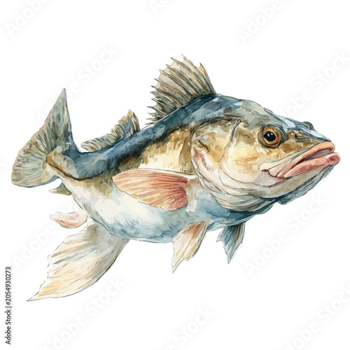 фотографія Haddock watercolor vector, hand-painted style, high-quality illustration isolated on white background