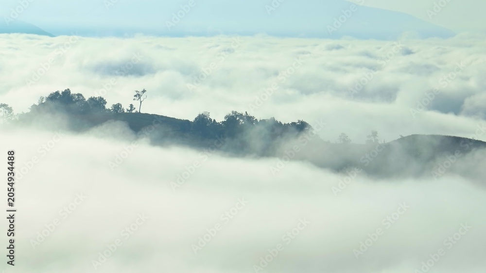 Fototapeta premium Aerial drone image of expansive fog seas around mountain forests, showcasing biodiversity, carbon storage, climate regulation, water cycles, and natural ecosystem balance. Southeast Asia, Thailand. 