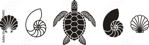 Photos Marine life vector collection isolated, sea turtle nautilus shell and ocean shel