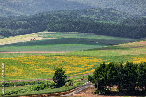 北海道芦別市、新城町の丘陵に広がる畑【6月】