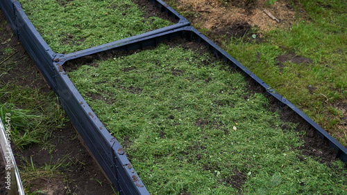Bilde på lerret Freshly mowed grass used as mulch on raised garden beds