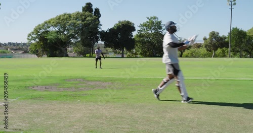 Diverse cricket players and umpire bowling, batting, signaling run on grass pitch, copy space