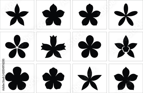 Black and white floral arranged in a 3x4 grid pattern flower bloom