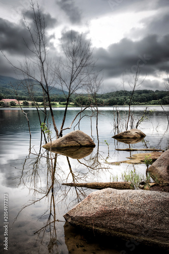 Primavera en el pantano de Los Morales