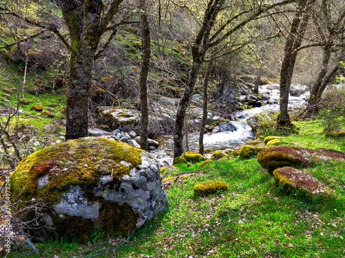 Primavera en el Valle de Iruelas